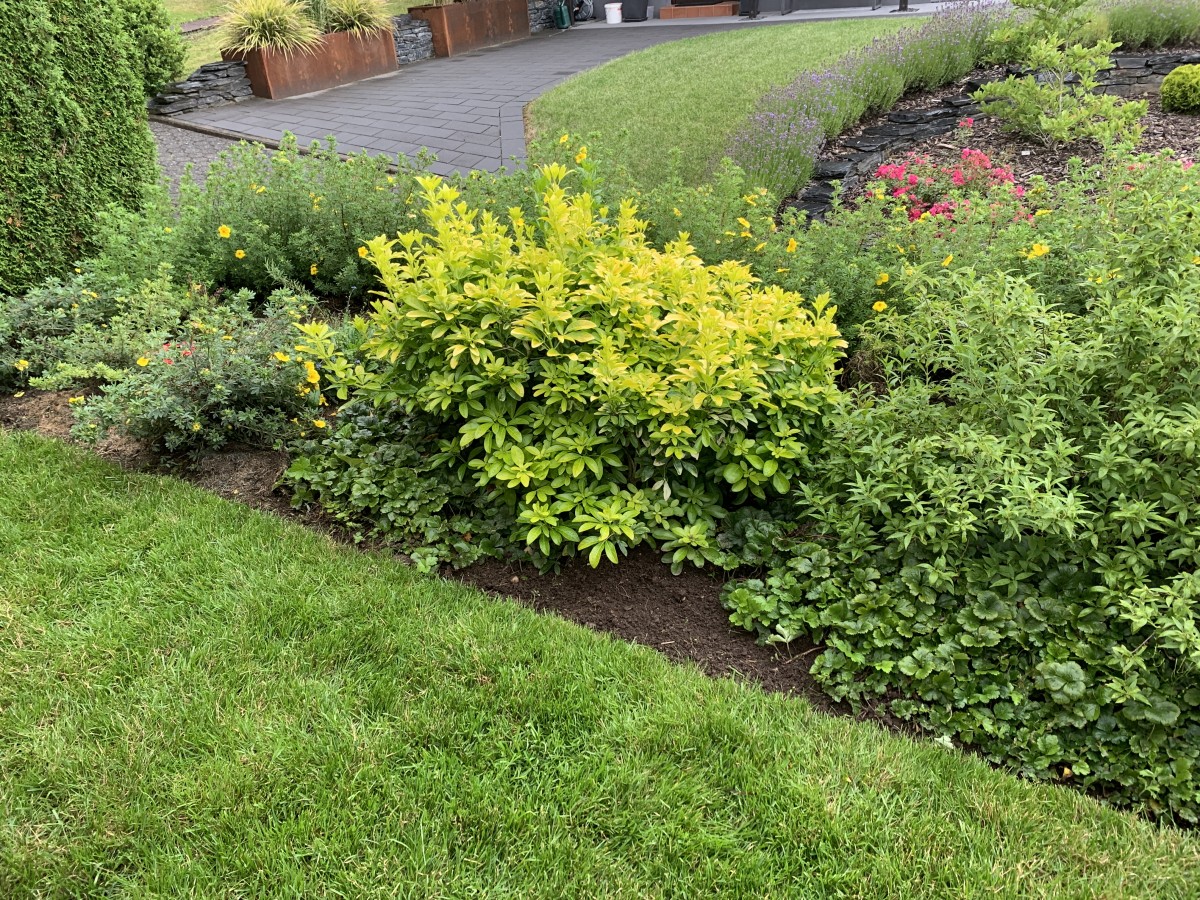 19617023-6D30-4D45-BEC9-78838DF93E78.jpeg