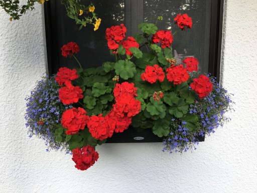 AB82BEC3-9E9C-45E5-B842-F4F3DFBCBB4E.jpeg