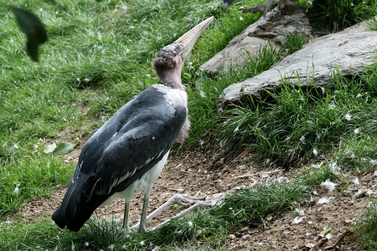 88CC9968-DF0C-47D6-BF69-B38CD7F0B6FD-3628-000003363DFA3EE5.jpeg